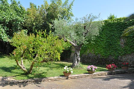 Ferme avec Piscine Ã  VILAUR - Acheter et vendre