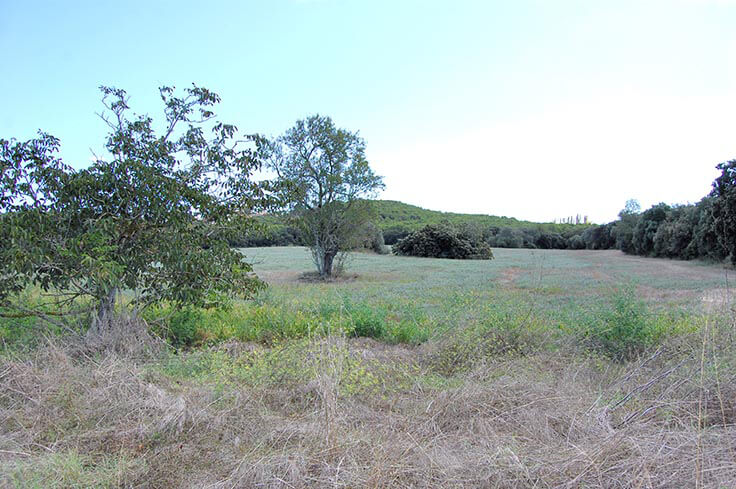 Ferme Ã  PALS - Acheter et vendre