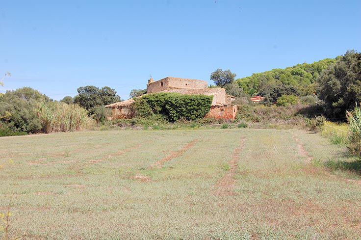 Ferme Ã  PALS - Acheter et vendre