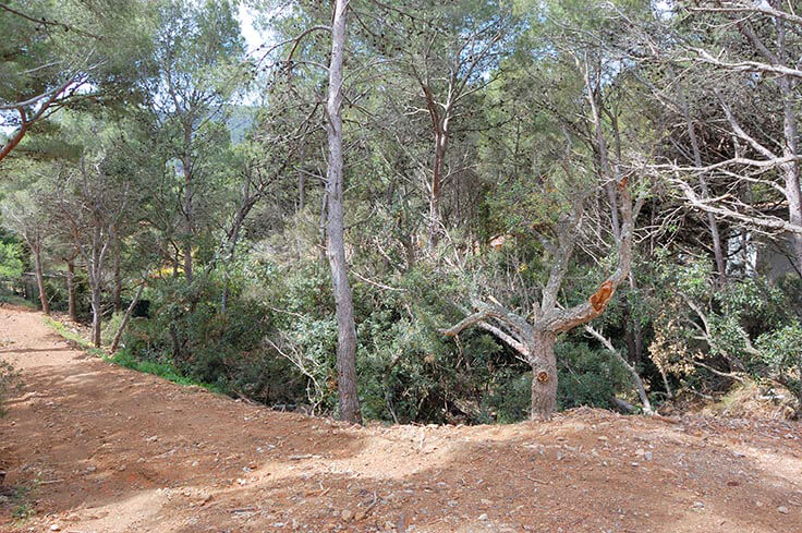 Parcela con Vistas al mar y jardín en Tamariu - Compra - Venta