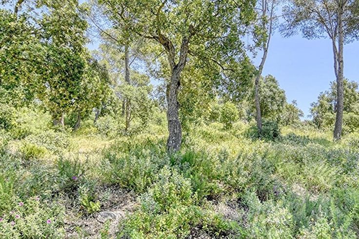 Finca rústica en Begur - Compra - Venta