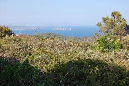 Parcela con jardín en Tamariu - Compra - Venta