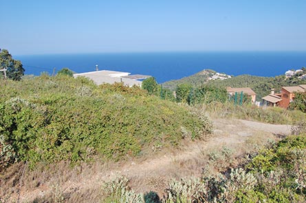 Parcela con jardín en Tamariu - Compra - Venta