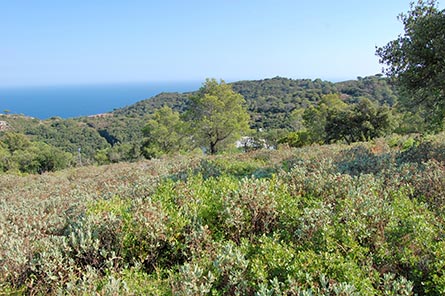 Parcela con jardín en Begur - Compra - Venta