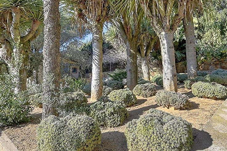 Casa de campo 3 dormitorios con Vistas al mar y Aire acondicionado en Esclanyà - Compra - Venta