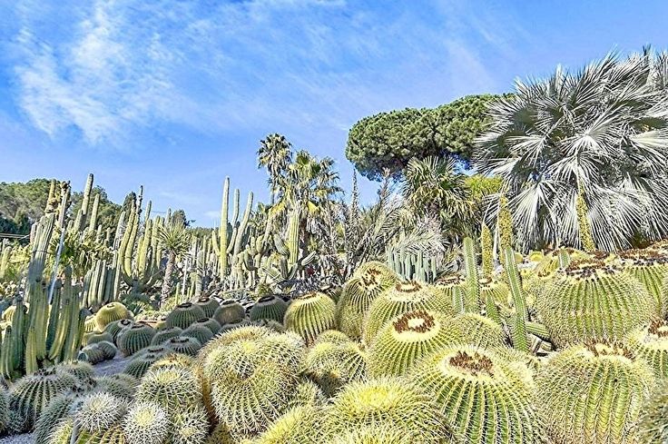 Casa de campo 3 dormitorios con Vistas al mar y Aire acondicionado en Esclanyà - Compra - Venta