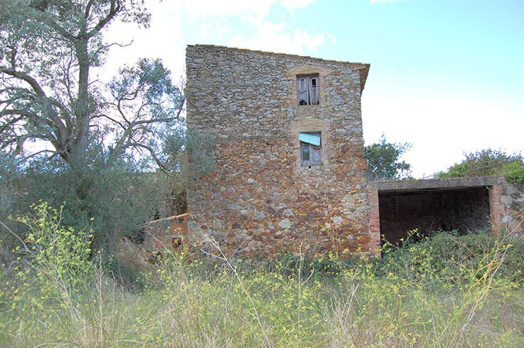 MasÃ­Â­a en PALS - Compra Venta