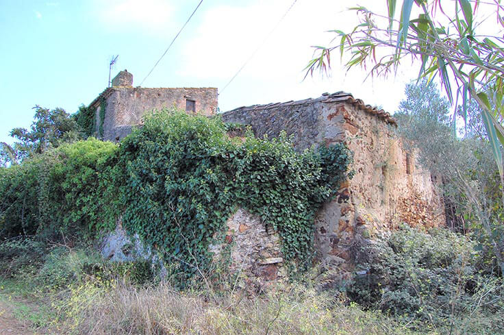 MasÃ­Â­a en PALS - Compra Venta