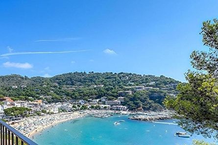 REF: . APA: B- Ponent