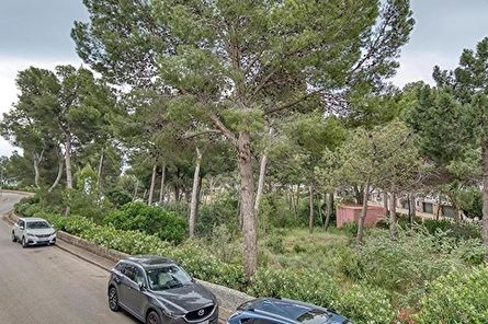 REF: 440. APA: Cala Preciosa