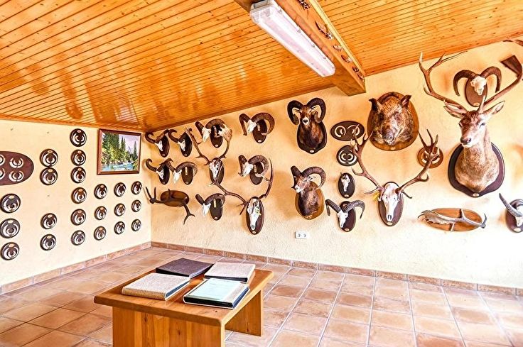 Casa individual 3 dormitoris a Palafrugell - Compra - Venda