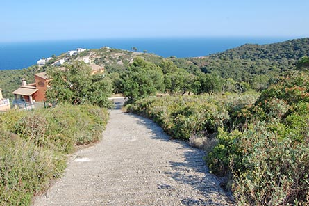 Parcel.la amb jardí a Tamariu - Compra - Venda