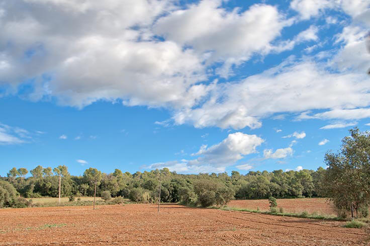 Xalet 5 dormitoris amb Pàrquing i jardí a Palafrugell - Compra - Venda