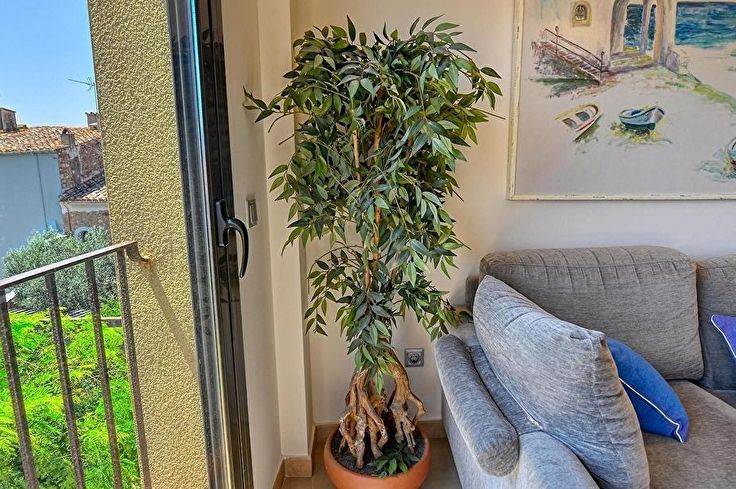 Appartement 3 chambres avec Parking à Palafrugell - Location Vacances - Touristique