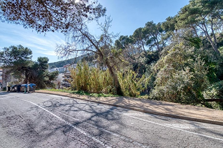 Colis à Tamariu - Acheter - vendre