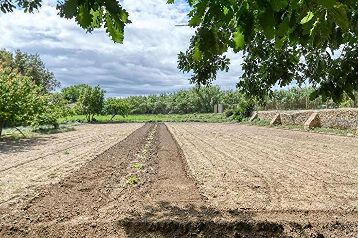 Maison individuelle 3 chambres à Palafrugell - Acheter - vendre