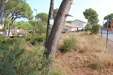 Parcel in Tamariu - Buy - For sale