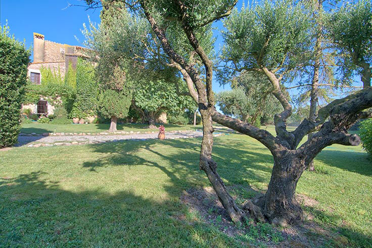 Farmhouse in BISBAL D