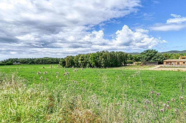 Individual house 3 bedrooms in Palafrugell - Buy - For sale