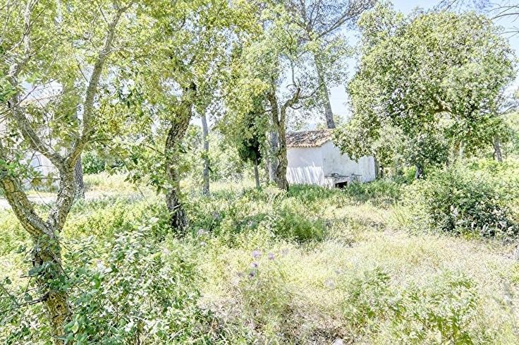 Rustic property in Begur - Buy - For sale
