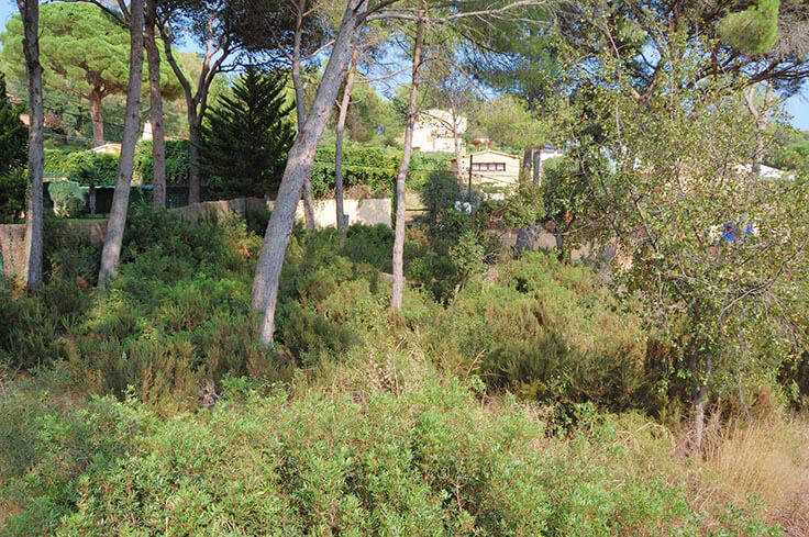 Parcel in Tamariu - Buy - For sale