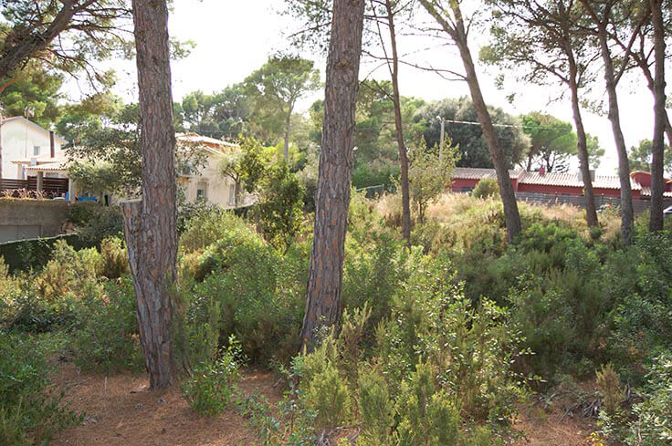 Parcel in Tamariu - Buy - For sale