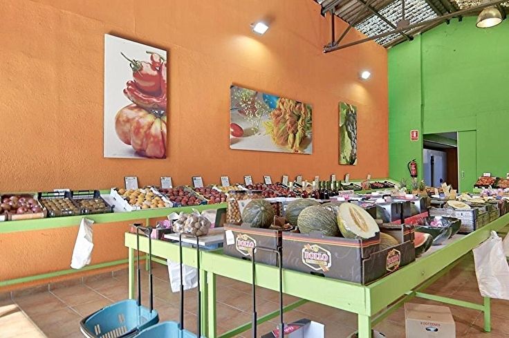 Shop in Palafrugell - Buy - For sale