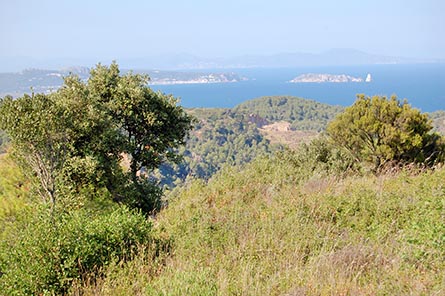 Parcel with garden in Tamariu - Buy - For sale