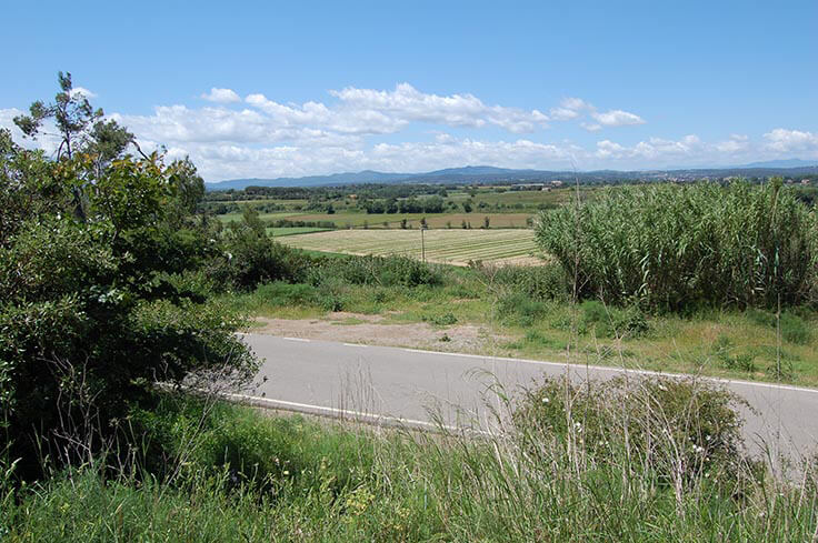 Parcel with garden in Llabià - Buy - For sale