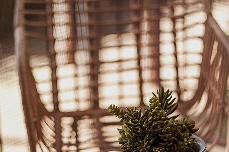 Wohnung 3 Schlafzimmer mit Wifi und Parken auf Calella de Palafrugell - Vermietung Urlaub - Tourist