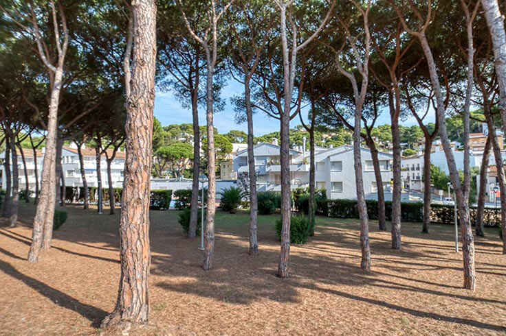 Wohnung 3 Schlafzimmer mit Schwimmbad, Parken und Garten auf Llafranc - Vermietung Urlaub - Tourist