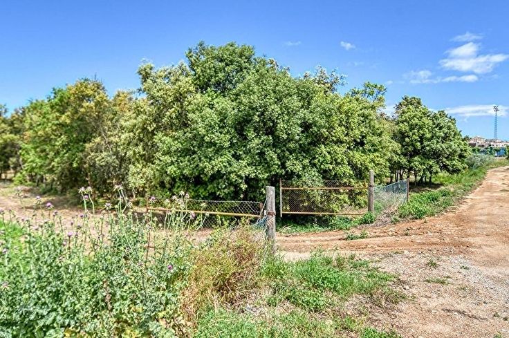 Individuelles Haus 3 Schlafzimmer auf Palafrugell - Kaufen - verkaufen