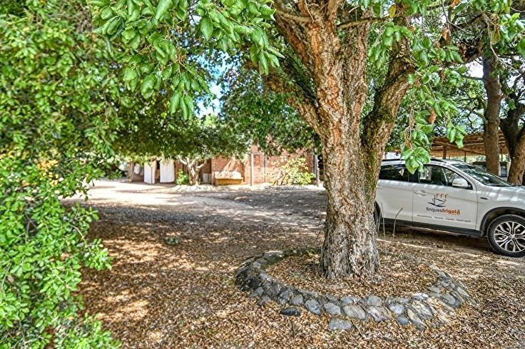 Individuelles Haus 3 Schlafzimmer auf Palafrugell - Kaufen - verkaufen