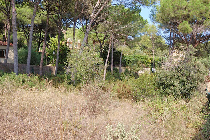 Paket auf Tamariu - Kaufen - verkaufen