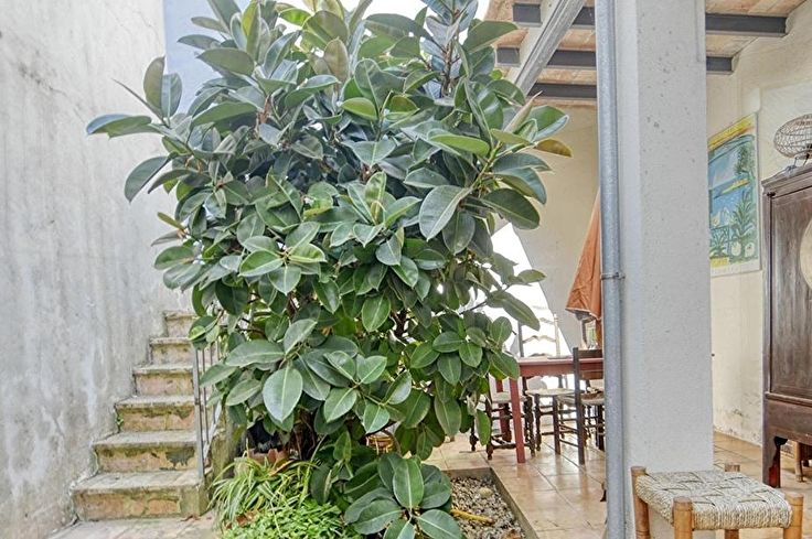 Stadthaus 3 Schlafzimmer auf Palafrugell - Kaufen - verkaufen