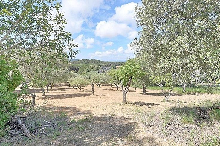 Baracke 2 Schlafzimmer auf Palafrugell - Kaufen - verkaufen