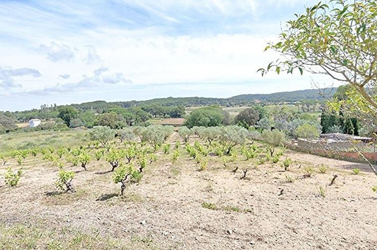 Baracke 1 Schlafzimmer auf Palafrugell - Kaufen - verkaufen