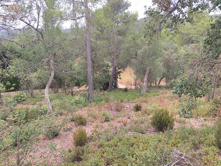 Paket mit Garten auf Mont-ras - Kaufen - verkaufen