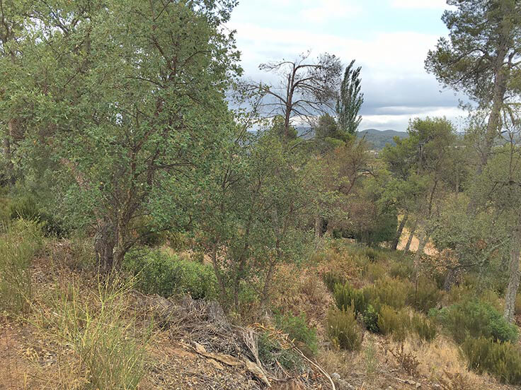 Paket mit Garten auf Mont-ras - Kaufen - verkaufen
