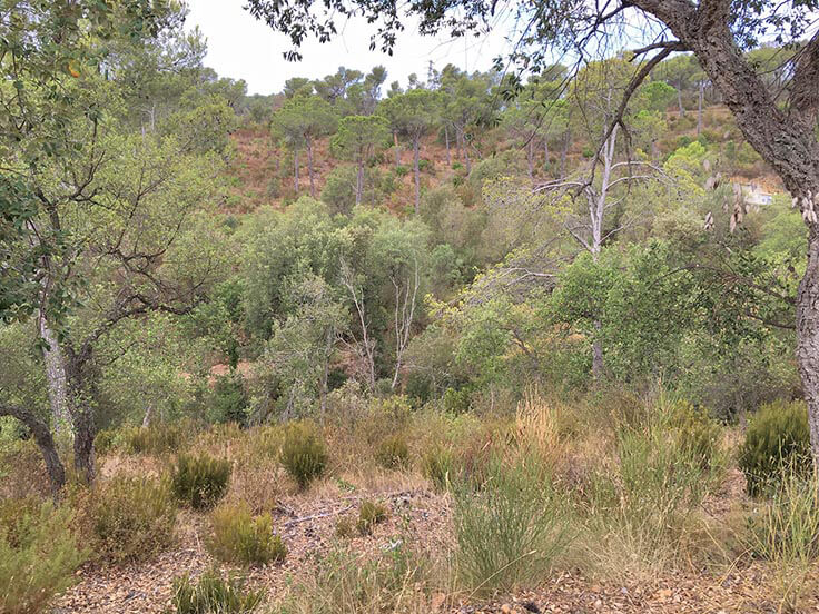 Paket mit Garten auf Mont-ras - Kaufen - verkaufen