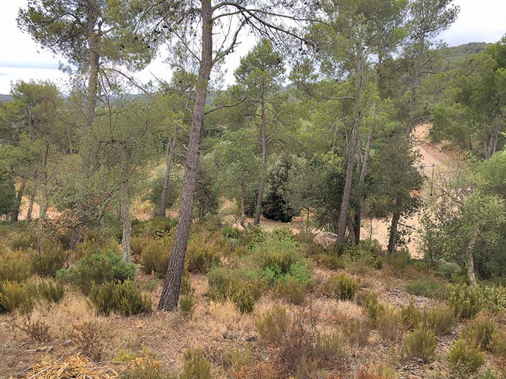 Paket mit Garten auf Mont-ras - Kaufen - verkaufen